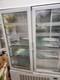 Commercial Upright Tall Freezer Display Double Door