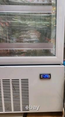 Commercial Upright Tall Freezer Display Double Door