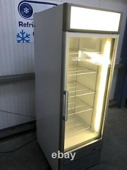 Isa upright single door display freezer Frozen commercial catering shop Ice