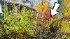 Shocking Discovery In Fireman S Widow S Yard I Saved Her Life She Was Left In Tears
