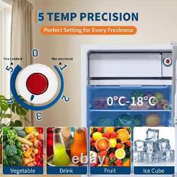 Mini-réfrigérateur portable de 92 L avec 5 réglages de température, réfrigérateur vertical à porte unique