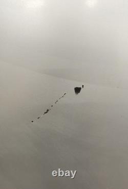 Porte de réfrigérateur-congélateur arrière nue en gris pour Mercedes Sprinter W906 2015