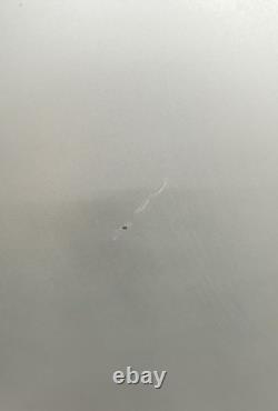 Porte de réfrigérateur-congélateur arrière nue en gris pour Mercedes Sprinter W906 2015